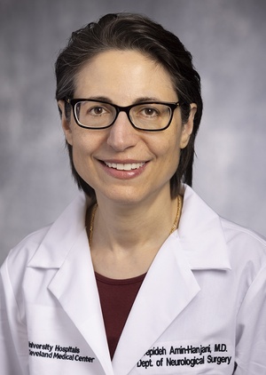 Sepideh Amin-Hanjani, MD